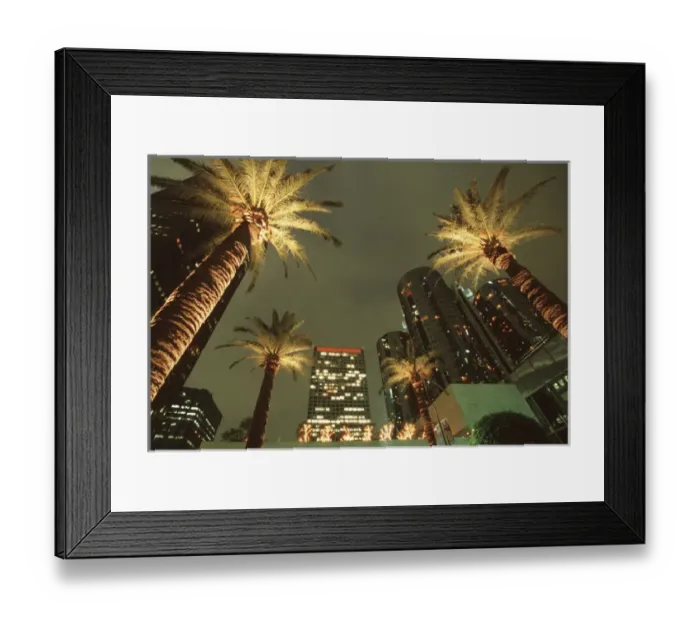 Framed Print : U. S. A. California, Los Angeles Palm trees at night in Century Plaza Framed Print : U. S. A. California, Los Angeles Palm trees at night in Century Plaza