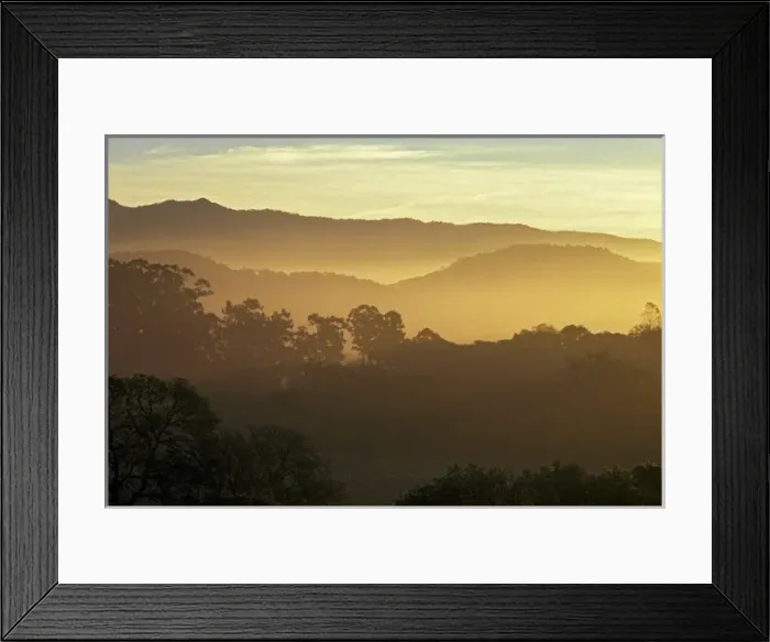 Framed Print : Sunrise over the hills above Napa Valley near Rutherford, Napa County, California, U. S. A Framed Print : Sunrise over the hills above Napa Valley near Rutherford, Napa County, California, U. S. A