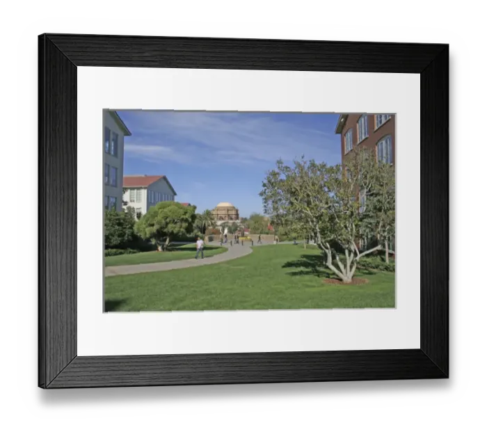 Framed Print : Landscaped park at Letterman Digital Arts Center, Presidio, San Francisco California Framed Print : Landscaped park at Letterman Digital Arts Center, Presidio, San Francisco California