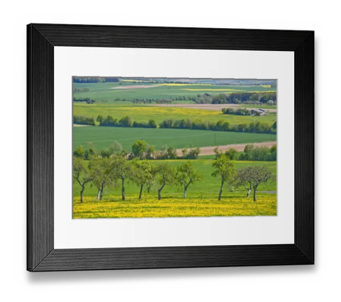 Framed Print : GERMANY, Rheinland-Pfaltz, Mulbach. Fiels in spring Framed Print : GERMANY, Rheinland-Pfaltz, Mulbach. Fiels in spring