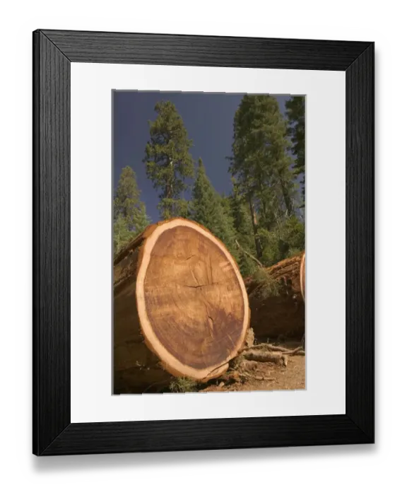 Framed Print : 06. USA, Framed Print : 06. USA,