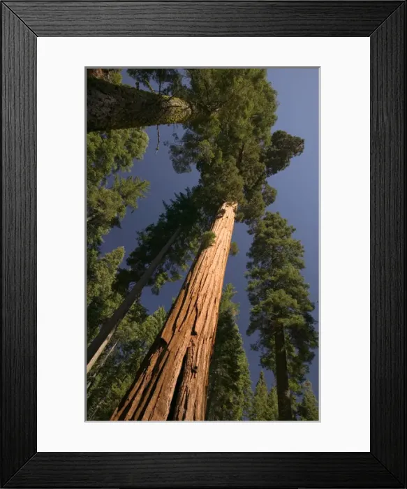 Framed Print : 06. USA, Framed Print : 06. USA,