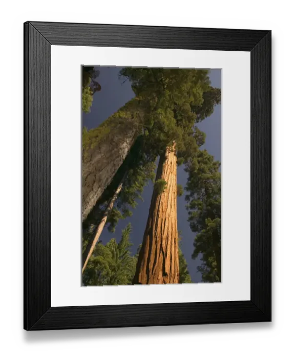 Framed Print : 06. USA, Framed Print : 06. USA,