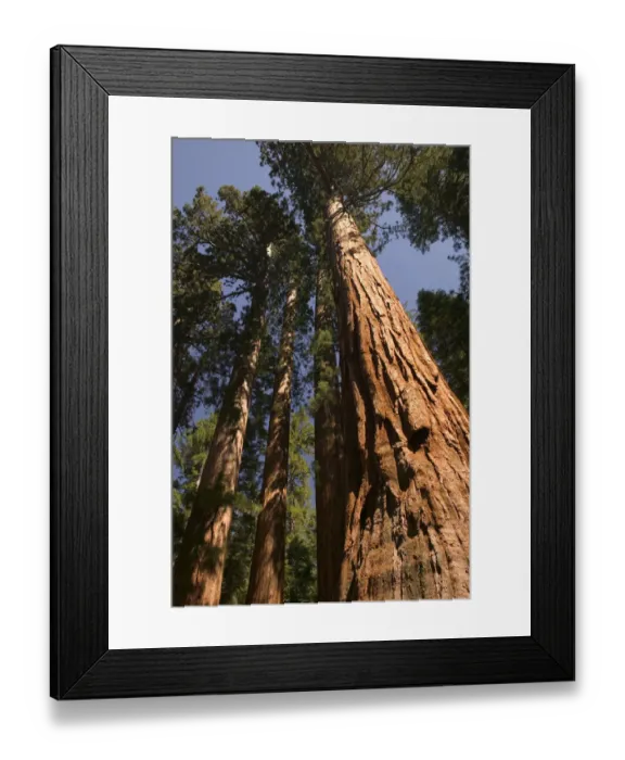 Framed Print : 06. USA, Framed Print : 06. USA,