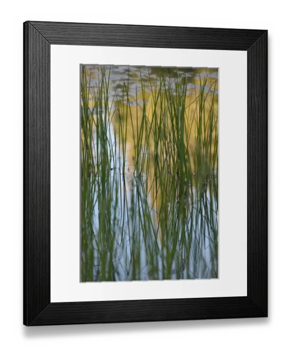 Framed Print : 06. USA, California, Yosemite National Park: Siesta Lake (off Tioga Road) Framed Print : 06. USA, California, Yosemite National Park: Siesta Lake (off Tioga Road)
