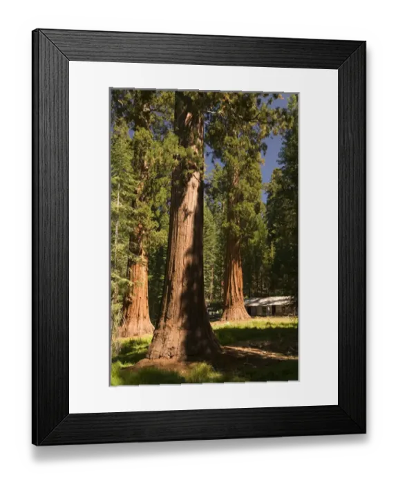 Framed Print : 06. USA, Framed Print : 06. USA,