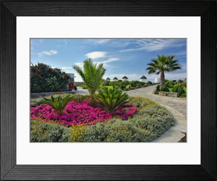 Framed Print : Windmills, Chora, Mykonos, Greece Framed Print : Windmills, Chora, Mykonos, Greece