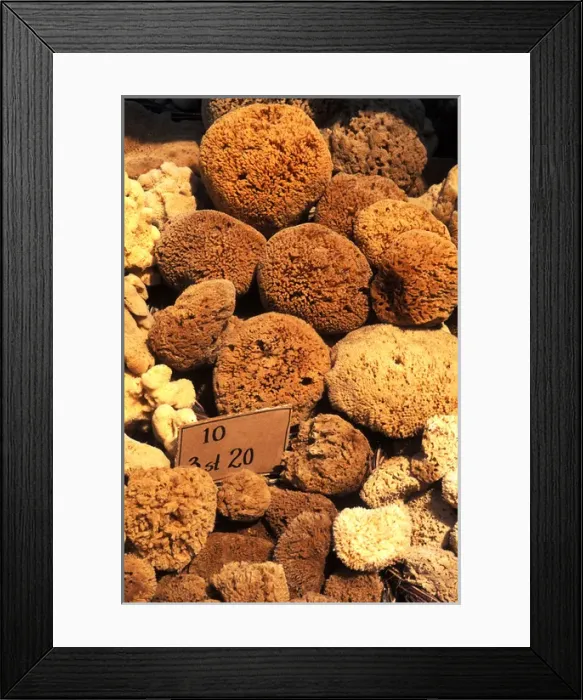 Framed Print : 04. Athens Greece Close Up of Greek Sponges Framed Print : 04. Athens Greece Close Up of Greek Sponges