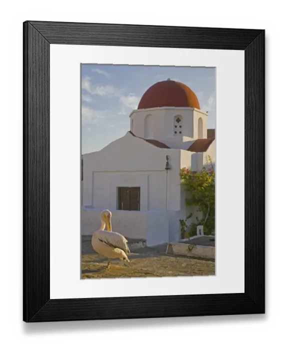Framed Print : Greece and Greek Island of Mykonos and the harbor town of Hora and white pelican