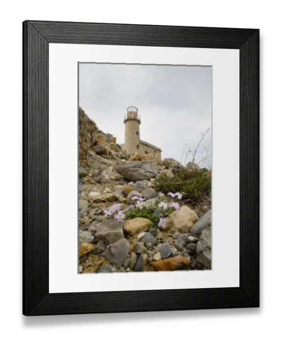 Framed Print : Crete. Greece. Europe. Derelict lighthouse above blooming phlox at Cape Agios Ioannis Framed Print : Crete. Greece. Europe. Derelict lighthouse above blooming phlox at Cape Agios Ioannis