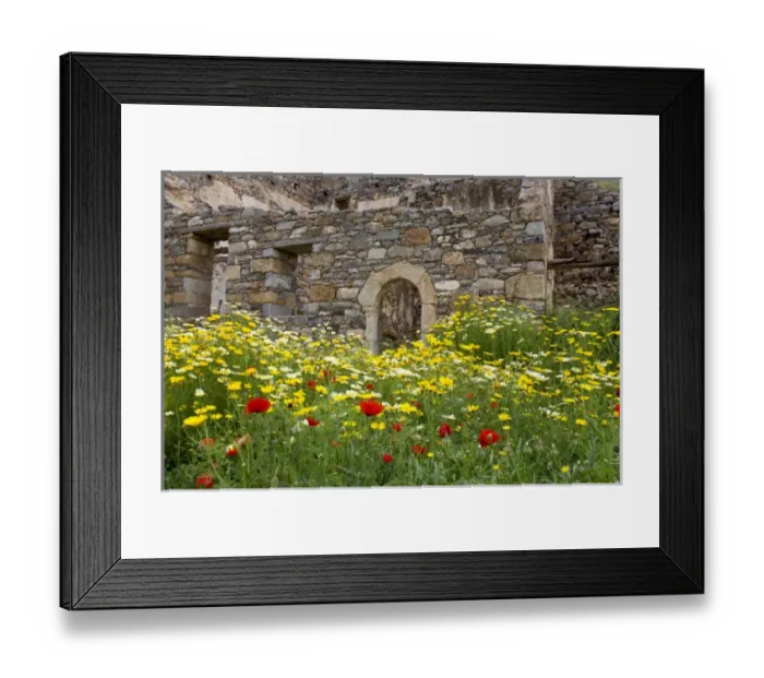 Framed Print : Crete. Greece. Europe. Island of Spinalonga. Old building and wildflowers. All buildings Framed Print : Crete. Greece. Europe. Island of Spinalonga. Old building and wildflowers. All buildings