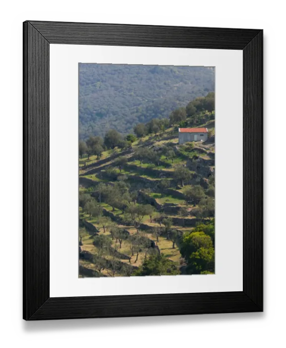 Framed Print : GREECE-Northeastern Aegean Islands-LESVOS (Mytilini)-Kilo: Terraced Hillside View Framed Print : GREECE-Northeastern Aegean Islands-LESVOS (Mytilini)-Kilo: Terraced Hillside View