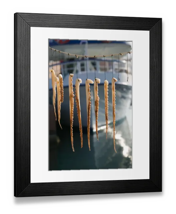 Framed Print : GREECE-Northeastern Aegean Islands-LESVOS (Mytilini)-Mithymna (Molyvos): Fishing Framed Print : GREECE-Northeastern Aegean Islands-LESVOS (Mytilini)-Mithymna (Molyvos): Fishing
