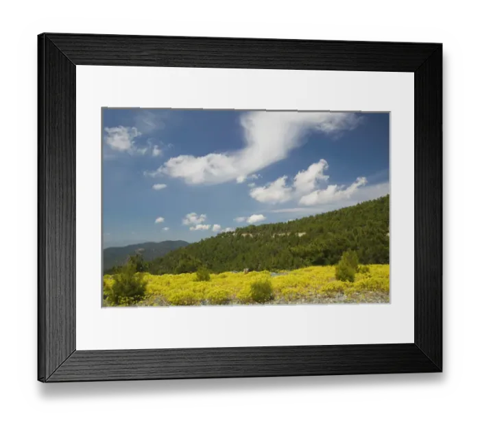 Framed Print : GREECE-Northeastern Aegean Islands-LESVOS (Mytilini)-Mt. Olympos: Foothills & Field