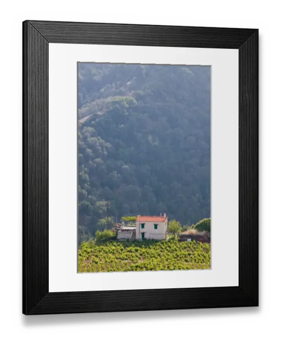 Framed Print : GREECE-Northeastern Aegean Islands-SAMOS-Manolates: Hillside Vineyard