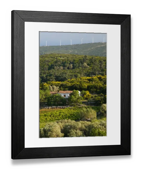 Framed Print : GREECE-Northeastern Aegean Islands-SAMOS-Mitillini: Farmhouse in the early Summer Framed Print : GREECE-Northeastern Aegean Islands-SAMOS-Mitillini: Farmhouse in the early Summer