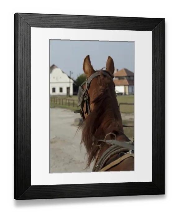 Framed Print : Hungary, Kalocsa, Puszta region. Traditional Hungarian horse ranch Bakodpuszta Equesdtrian Center Framed Print : Hungary, Kalocsa, Puszta region. Traditional Hungarian horse ranch Bakodpuszta Equesdtrian Center