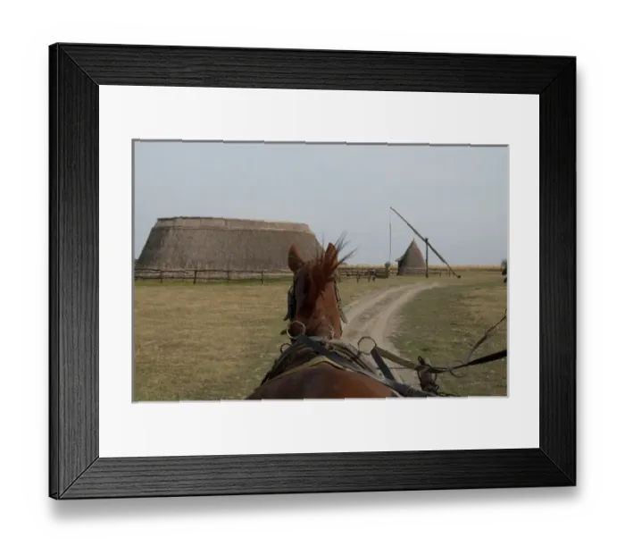 Framed Print : Hungary, Kalocsa, Puszta region. Traditional Hungarian horse ranch. Tourist wagon Framed Print : Hungary, Kalocsa, Puszta region. Traditional Hungarian horse ranch. Tourist wagon