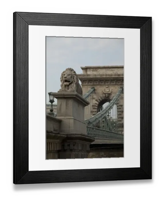 Framed Print : Hungary, capital city of Budapest. Historic Chain Bridge connecting Buda Framed Print : Hungary, capital city of Budapest. Historic Chain Bridge connecting Buda