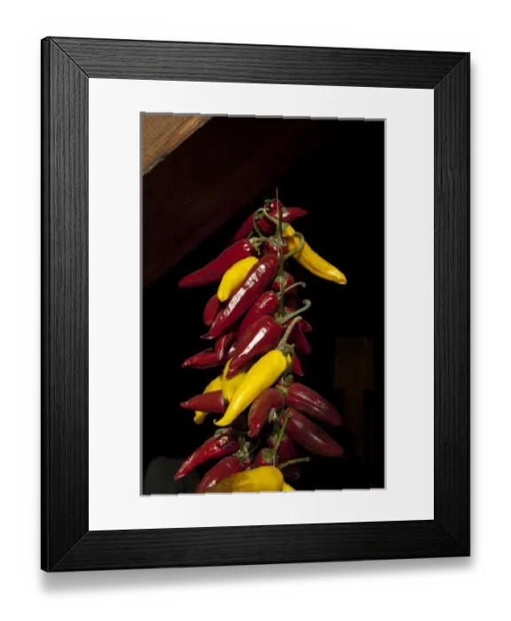 Framed Print : Hungary, Kalocsa, Puszta region. Largest paprika growing area in Hungary, paprika