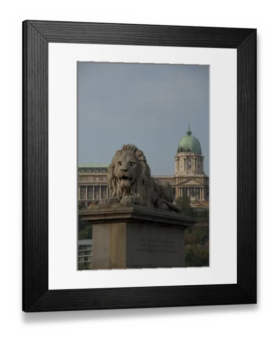Framed Print : Hungary, Budapest. Historic Chain Bridge connecting Buda & Pest across the Danube River Framed Print : Hungary, Budapest. Historic Chain Bridge connecting Buda & Pest across the Danube River