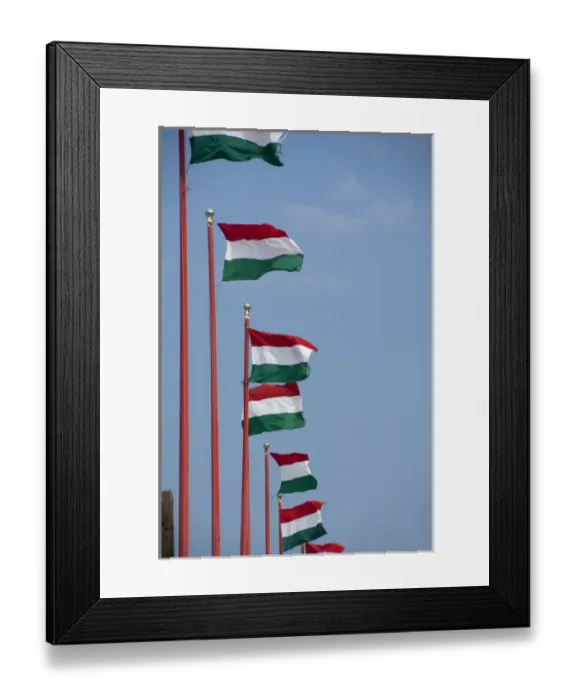 Framed Print : Hungary, capital city of Budapest. Buda, Castle Hill, Hungarian flags