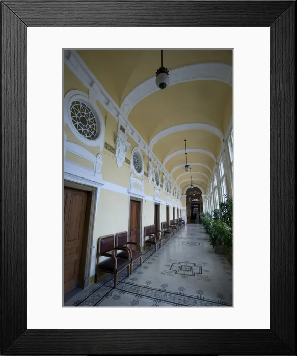 Framed Print : Europe, Hungary, Budapest, Szechenyi spa interior Framed Print : Europe, Hungary, Budapest, Szechenyi spa interior
