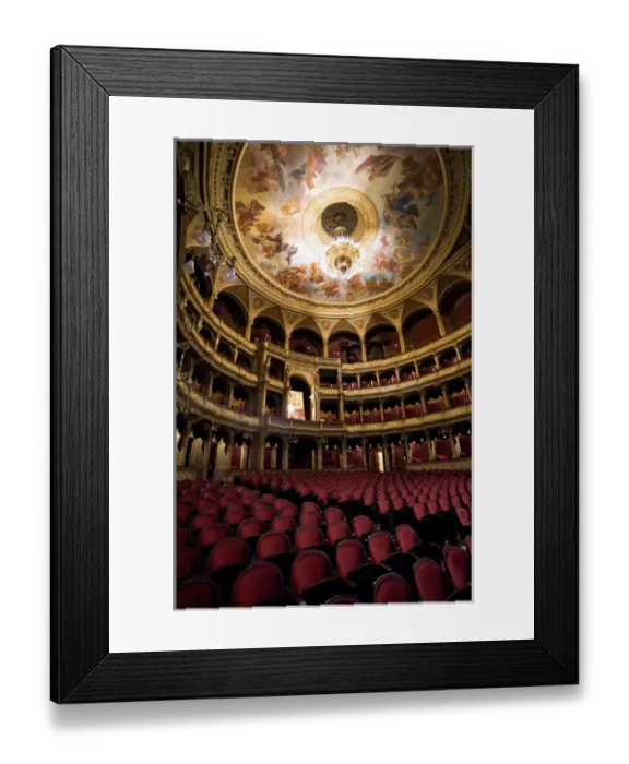 Framed Print : Europe, Hungary, Budapest