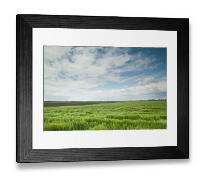 Framed Print : HUNGARY-Great Plain- HORTBAGY: Hungarys Cowboy Country Farm Fields / Spring Framed Print : HUNGARY-Great Plain- HORTBAGY: Hungarys Cowboy Country Farm Fields / Spring
