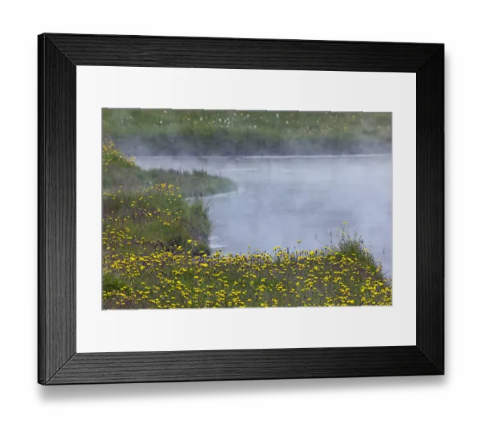 Framed Print : Flowers growing around geothermal hot spring, Iceland Framed Print : Flowers growing around geothermal hot spring, Iceland