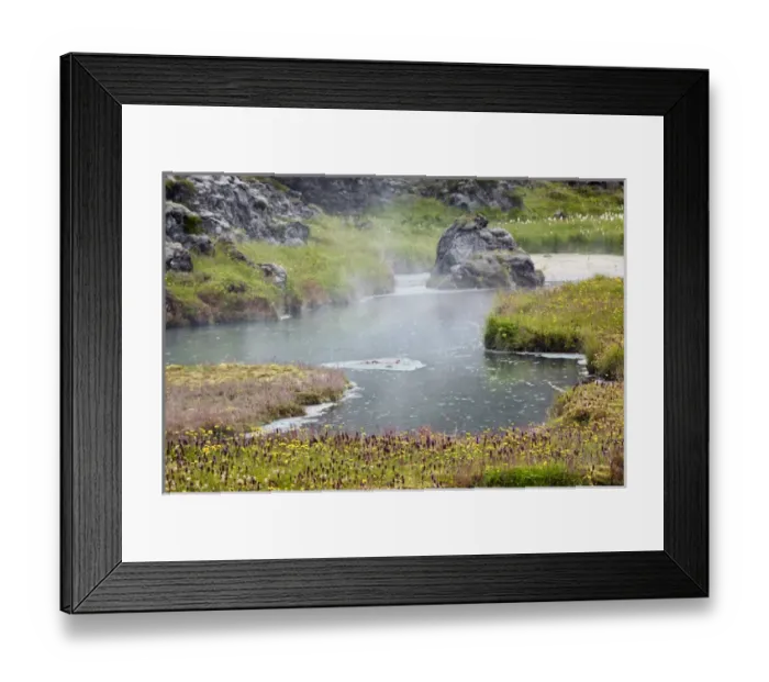 Framed Print : Flowers growing around geothermal hot spring, Iceland Framed Print : Flowers growing around geothermal hot spring, Iceland