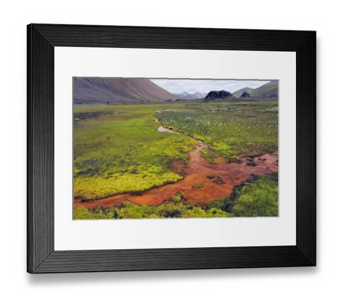 Framed Print : Bacterial mat through meadow, Iceland