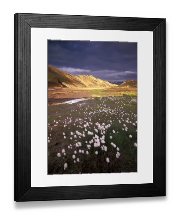 Framed Print : Iceland, Cotongres Framed Print : Iceland, Cotongres