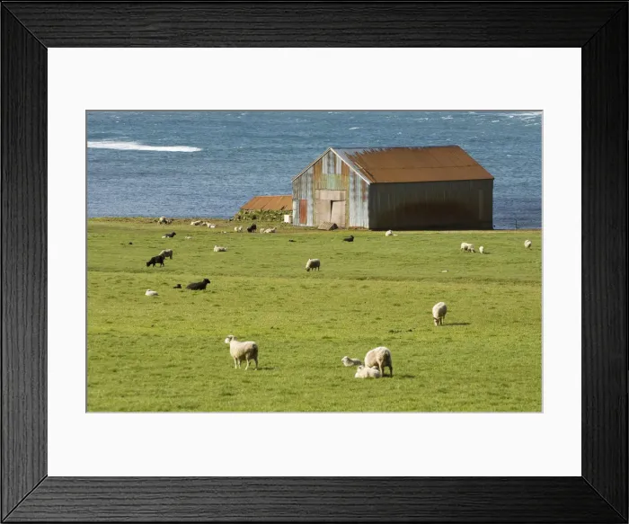Framed Print : South coast near Breiddalswik, Iceland