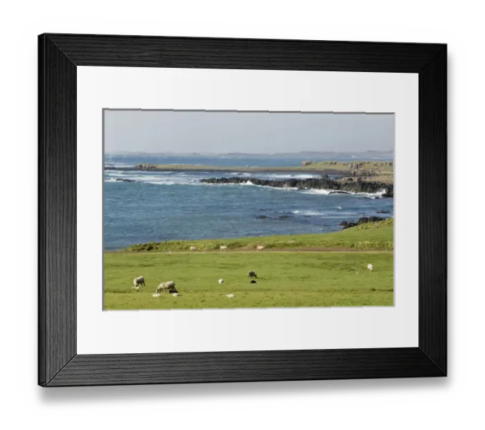 Framed Print : South coast near Breiddalswik, Iceland