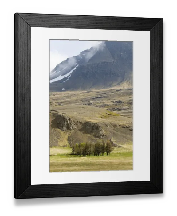 Framed Print : Berufjordur fjord, South coast, Iceland Framed Print : Berufjordur fjord, South coast, Iceland
