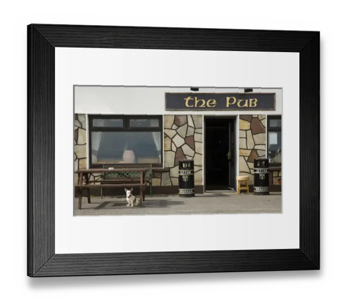 Framed Print : Europe, Ireland, Achill Island, Dooagh. Small dog who greets the patrons of the tavern