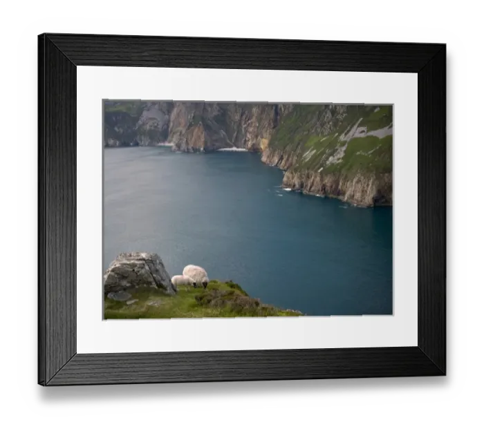 Framed Print : Europe, Ireland, Slieve League. Mother and baby sheep on steep cliffs. Credit as Framed Print : Europe, Ireland, Slieve League. Mother and baby sheep on steep cliffs. Credit as