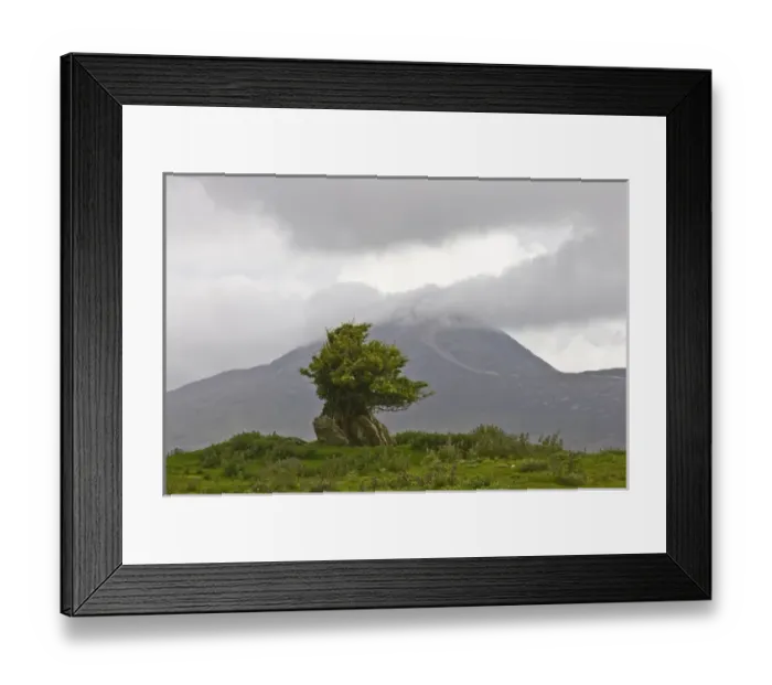 Framed Print : Ireland, County Mayo. Landscape with Croagh Patrick in background Framed Print : Ireland, County Mayo. Landscape with Croagh Patrick in background