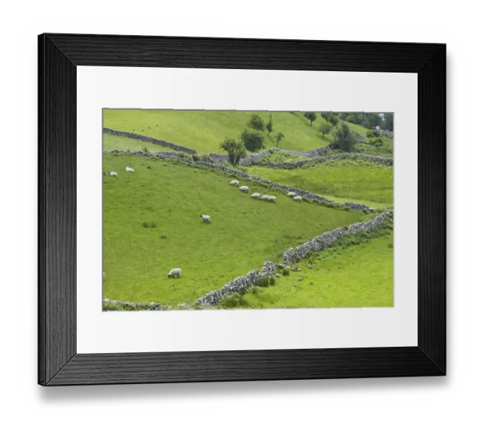 Framed Print : Ireland, County Mayo, Lough Carrib Framed Print : Ireland, County Mayo, Lough Carrib