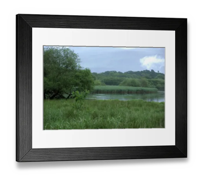 Framed Print : Europe, Ireland, Killarney. Killarney National Park, lake. THIS IMAGE RESTRICTED Framed Print : Europe, Ireland, Killarney. Killarney National Park, lake. THIS IMAGE RESTRICTED