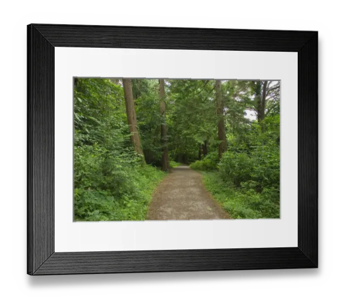 Framed Print : IRELAND, Kerry, Killarney National Park. HIking trails near Muckross House Framed Print : IRELAND, Kerry, Killarney National Park. HIking trails near Muckross House