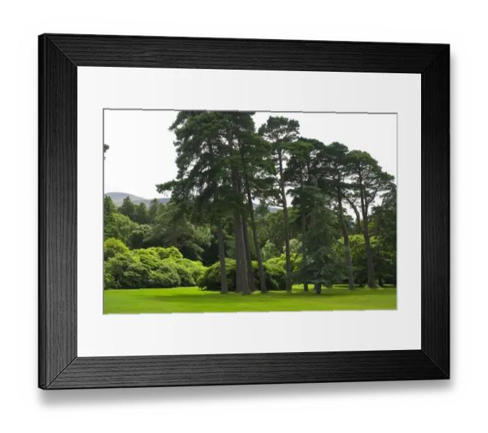 Framed Print : IRELAND, Kerry, Killarney National Park. Muckross House. Trees on the grounds Framed Print : IRELAND, Kerry, Killarney National Park. Muckross House. Trees on the grounds