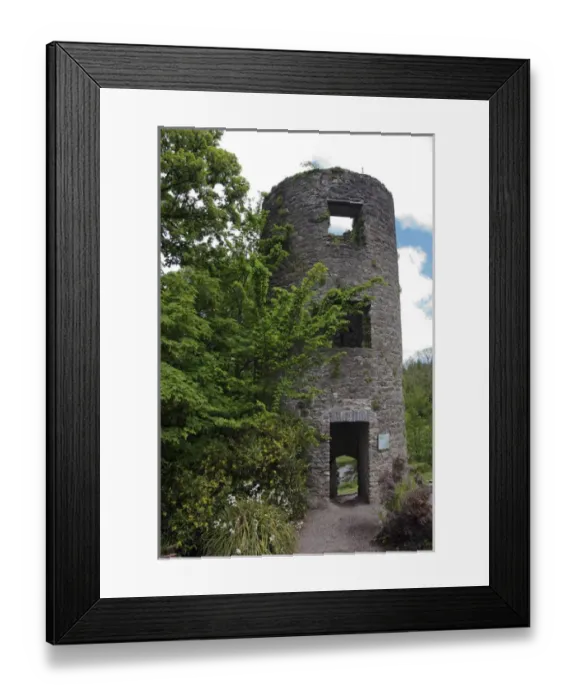 Framed Print : In Ireland, at the Blarney Castlea stone tower ruin in the castle garden among trees Framed Print : In Ireland, at the Blarney Castlea stone tower ruin in the castle garden among trees