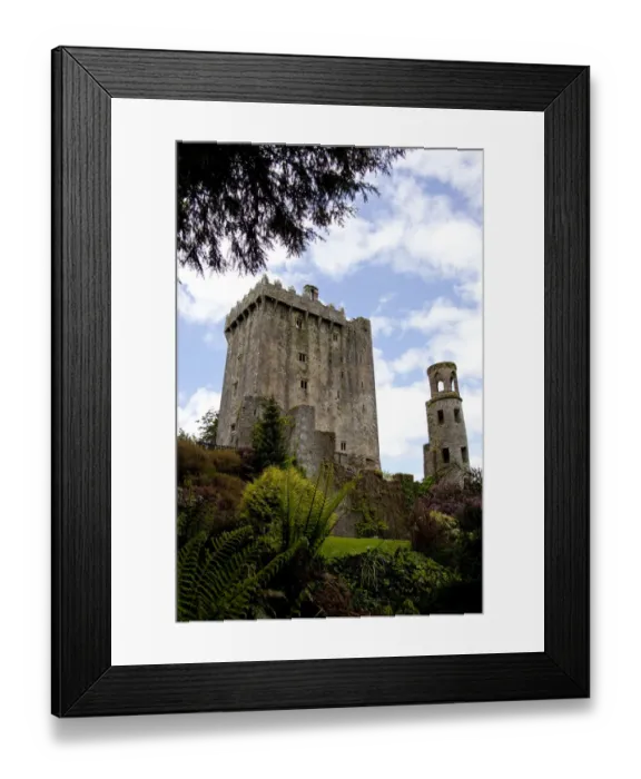 Framed Print : The Blarney Castle framed by colored textured plants under a blue sky with white Framed Print : The Blarney Castle framed by colored textured plants under a blue sky with white