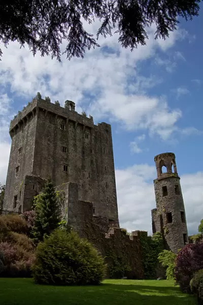 The Blarney Castle framed by colored textured plants under a blue sky with white