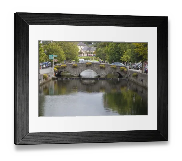 Framed Print : Canal, Bridge, Westport, Ireland, Flowers