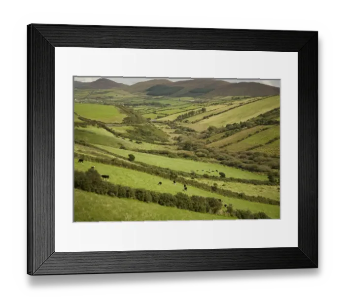Framed Print : Irish Countryside, Ireland, Farms, Landscape, Scenic, Fences Framed Print : Irish Countryside, Ireland, Farms, Landscape, Scenic, Fences