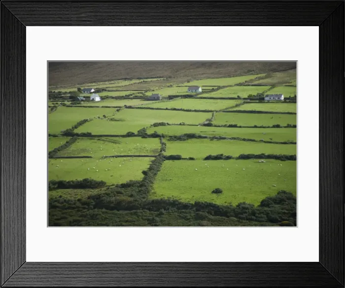 Framed Print : Irish Countryside, Ireland, Farms, Landscape, Scenic