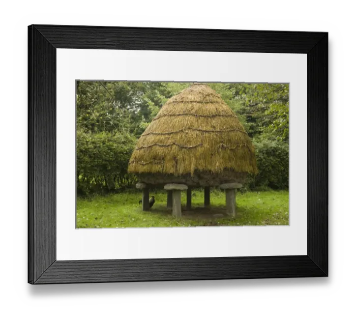 Framed Print : Thatched roof henhouse, Bunratty Folk Park, County Clare, Ireland, Architecture, Facade Framed Print : Thatched roof henhouse, Bunratty Folk Park, County Clare, Ireland, Architecture, Facade